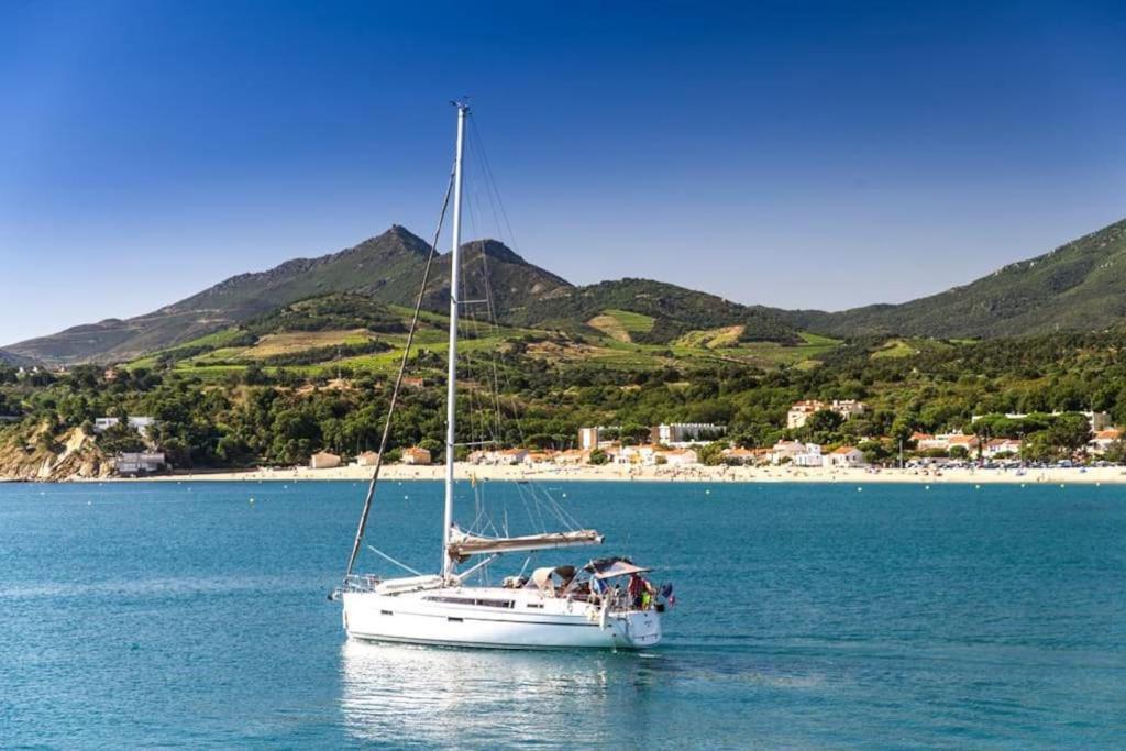 "Les Bambous" Studio Cosy Climatise Au Calme De 37 M2 Parking Gratuit A Argeles Sur Mer Bagian luar foto